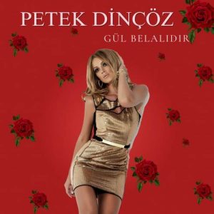 دانلود اهنگ ترکیه Petek Dinçöz بنام Gül Belalıdır