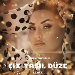 دانلود آهنگ جدید Sebnem Tovuzlu به نام Cix Yasil Duze | Remix