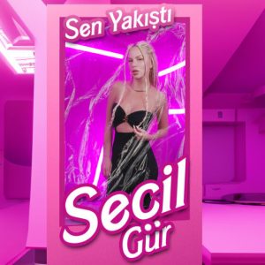 دانلود موزیک ترکیش Seçil Gür بنام Sen Yakıştı