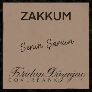 دانلود موزیک ترکیش Zakkum بنام senin şarkın