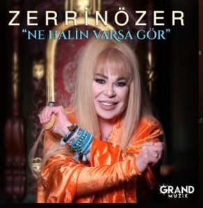 دانلود اهنگ Zerrin Özer – Ne Halin Varsa Gör